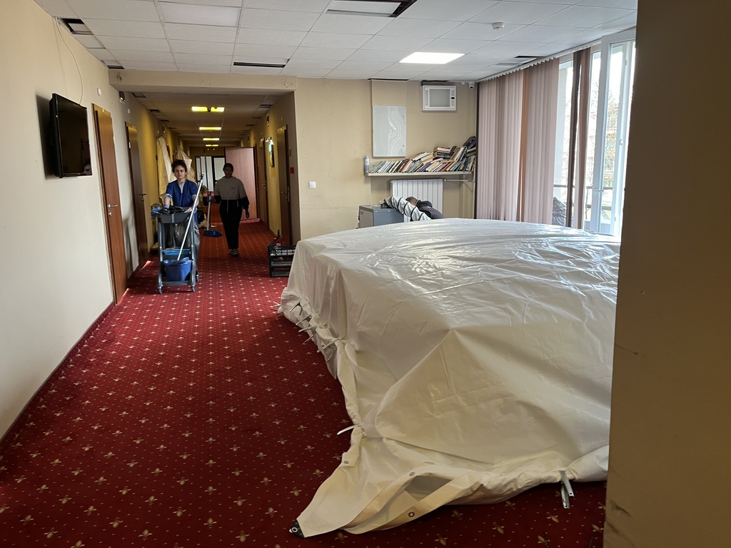 Bedbug Heat Treatment